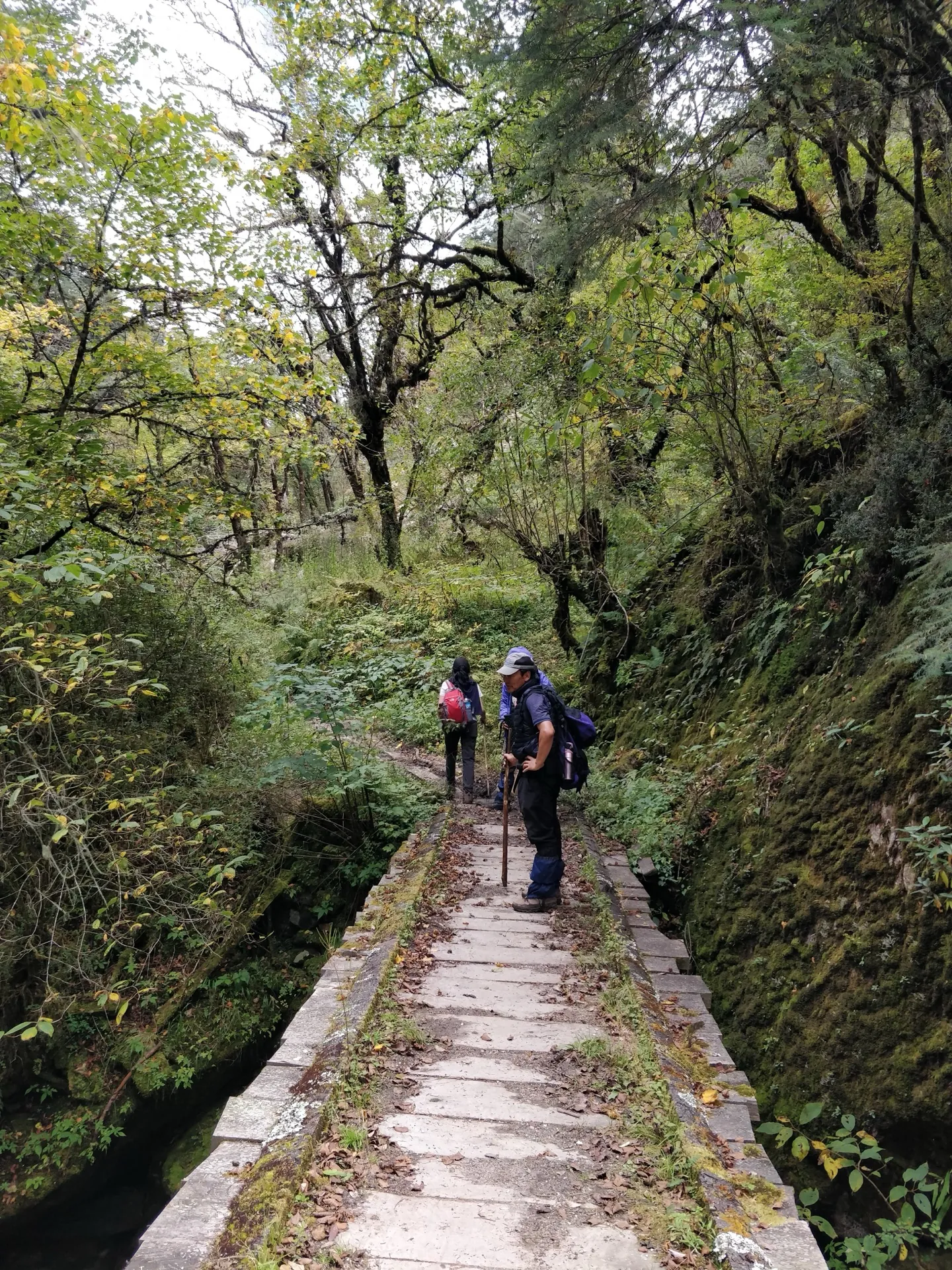 FORBIDDEN VALLEY EXPEDITION - Bhutan - 10 Days