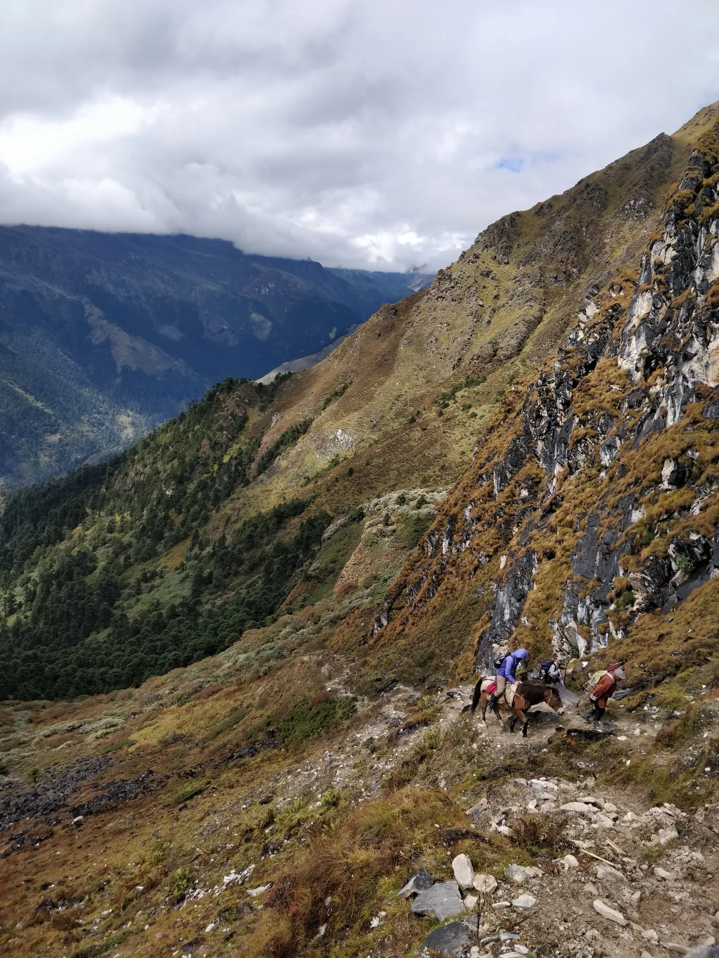 Bhutan Mountain Pass Dochula