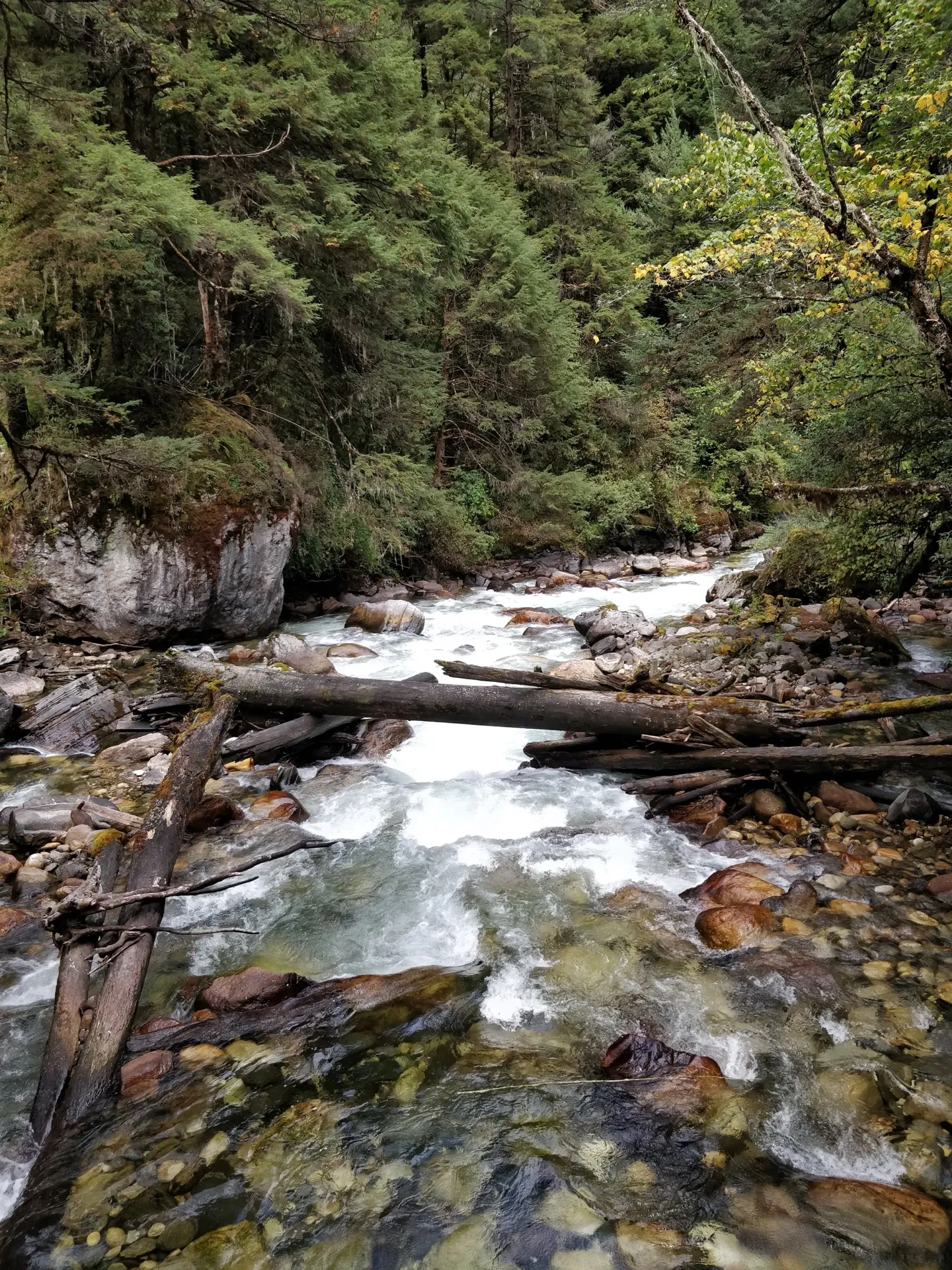 Bhutan Temple Architecture Details
