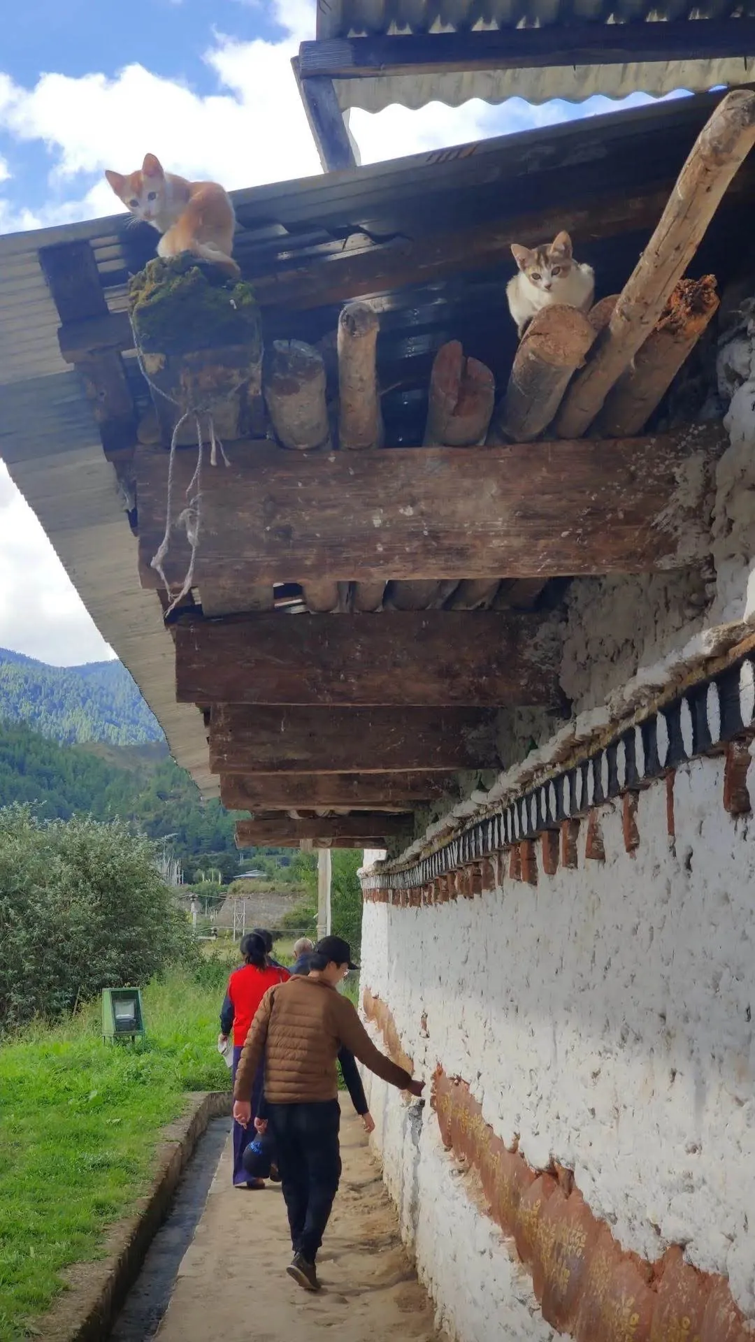 Bhutan Traditional Textile Art Weaving