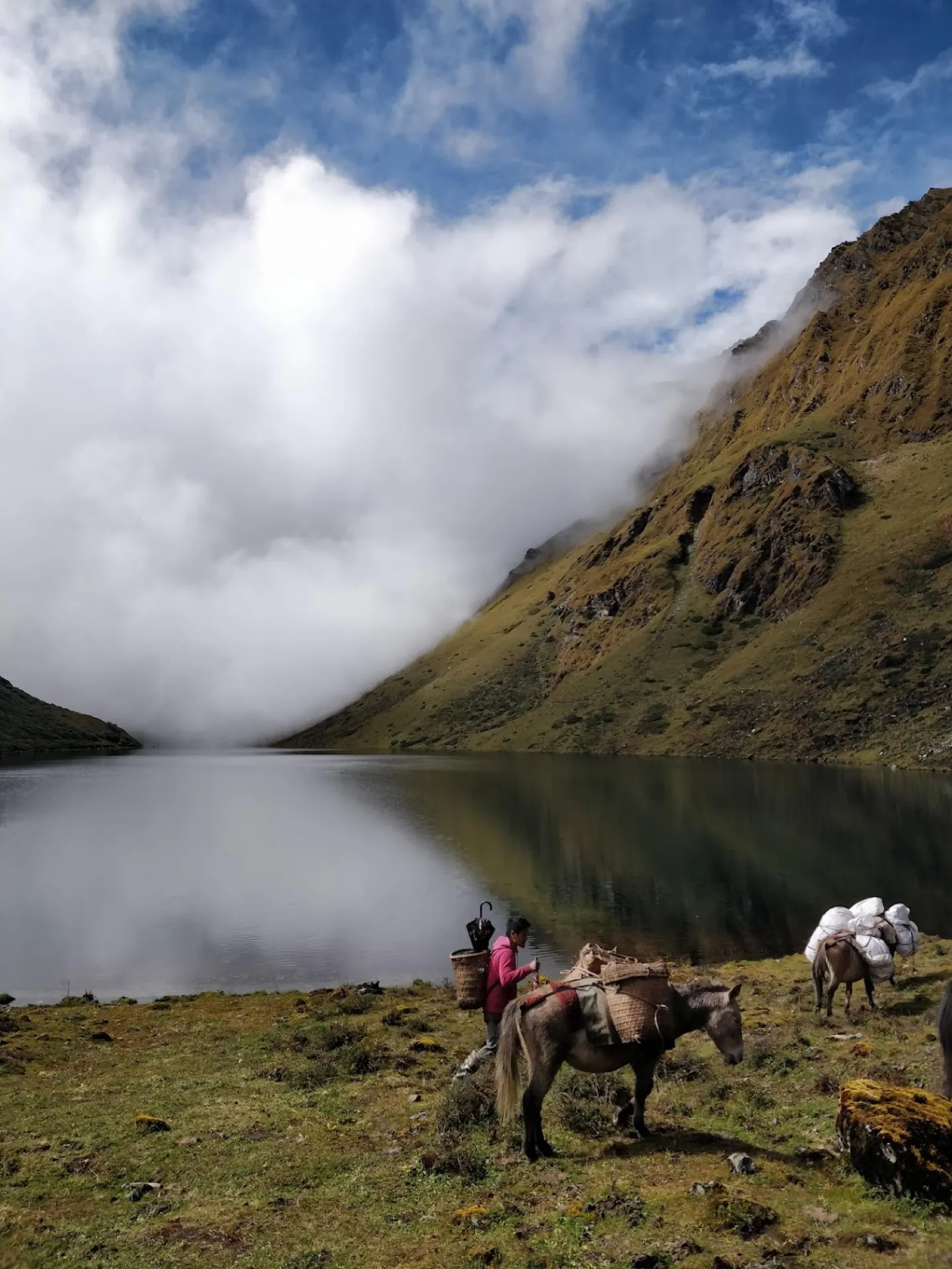 TIGER'S SANCTUARY QUEST - Bhutan - 4 Days
