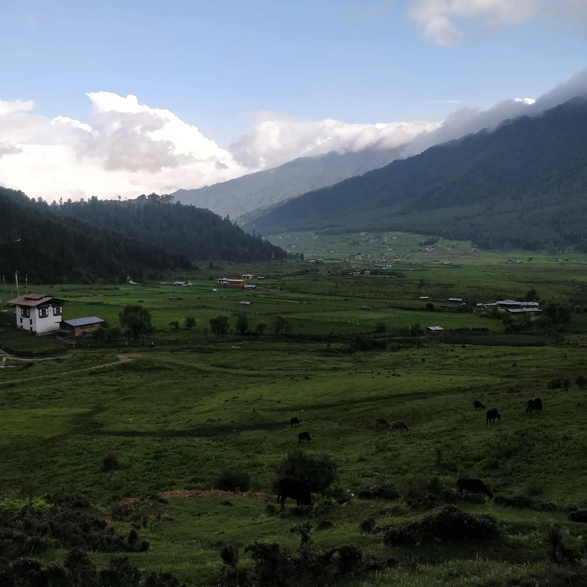Journey Through the Land of the Thunder Dragon: A Complete Bhutan Travel Experience